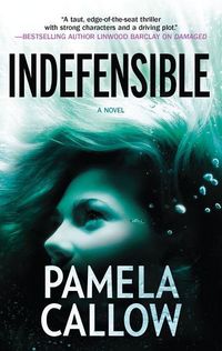 Produktbild: Indefensible