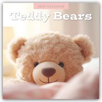 Produktbild: Teddy Bears &ndash; Teddyb&auml;ren 2027 &ndash; 16-Monatskalender