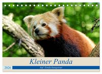 Produktbild: Kleiner Panda auf Entdeckungstour (Tischkalender 2026 DIN A5 quer), CALVENDO Monatskalender