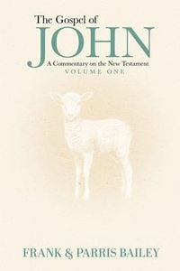 Produktbild: The Gospel of John A Commentary on the New Testament Volume 1