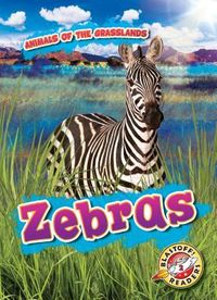 Produktbild: Zebras