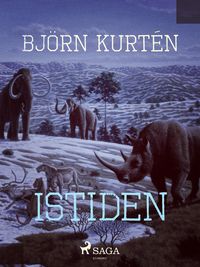 Produktbild: Istiden