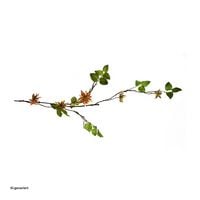 Produktbild: HTI-Living Produkt 17623 Artikel 18583