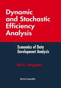 Produktbild: Dynamic & Stochastic Efficiency Analysis