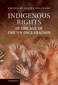 Produktbild: Indigenous Rights in the Age of the UN Declaration