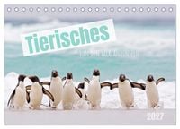 Produktbild: Tierisches von den Falklandinseln (Tischkalender 2027 DIN A5 quer), CALVENDO Monatskalender