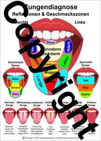 Produktbild: Zungendiagnose