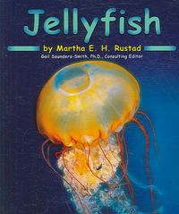 Produktbild: Jellyfish