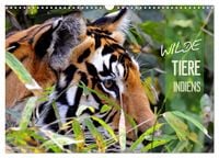 Produktbild: Wilde Tiere Indiens (Wandkalender 2026 DIN A3 quer), CALVENDO Monatskalender