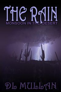 Produktbild: The Rain: Monsoon in the Desert