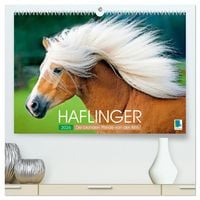 Produktbild: Haflinger: Die blonden Pferde von der Alm (hochwertiger Premium Wandkalender 2026 DIN A2 quer), Kunstdruck in Hochglanz
