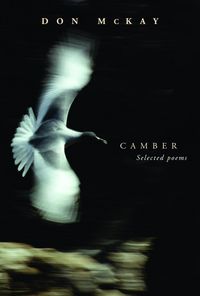 Produktbild: Camber