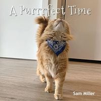 Produktbild: A Purrrfect Time