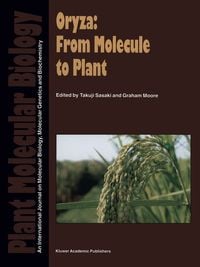 Produktbild: Oryza: From Molecule to Plant