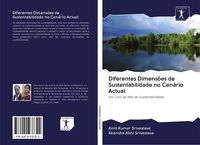Produktbild: Diferentes Dimens&otilde;es de Sustentabilidade no Cen&aacute;rio Actual