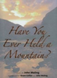 Produktbild: Have You Ever Held a Mountain?