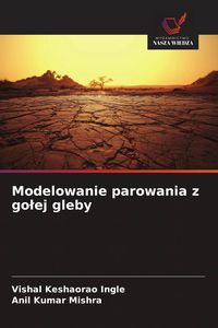 Produktbild: Modelowanie parowania z go&iquest;ej gleby