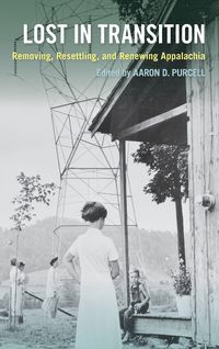 Produktbild: Lost in Transition