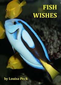 Produktbild: Fish Wishes