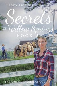 Produktbild: Secrets of Willow Springs - Book 2