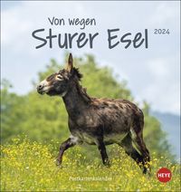 Bild vom Artikel Esel - Von wegen sturer Esel Postkartenkalender 2024. Kleiner Kalender zum Aufstellen und Aufhängen im Postkartenformat. Monats-Tischkalender für Ti vom Autor 