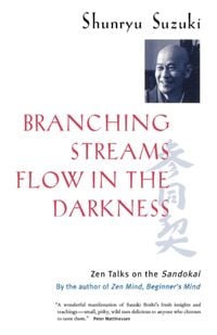 Produktbild: Suzuki, S: Branching Streams Flow in the Darkness