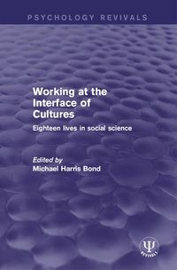 Produktbild: Working at the Interface of Cultures
