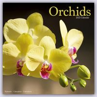 Produktbild: Orchids - Orchideen 2023 &ndash; 16-Monatskalender