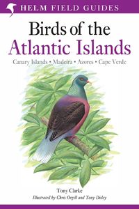Produktbild: Field Guide to the Birds of the Atlantic Islands
