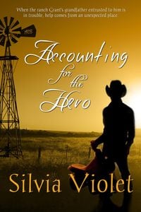 Produktbild: Accounting for the Hero