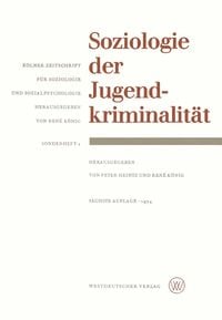 Produktbild: Soziologie der Jugendkriminalit&auml;t