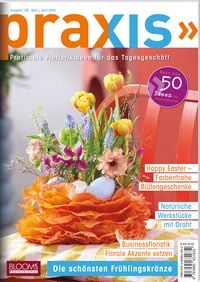 Produktbild: Praxis Nr. 128
