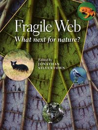 Produktbild: Fragile Web