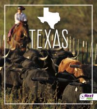 Produktbild: Texas
