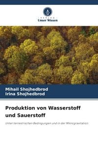 Produktbild: Produktion von Wasserstoff und Sauerstoff
