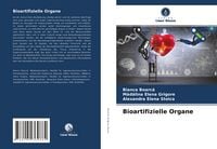 Produktbild: Bioartifizielle Organe