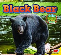 Produktbild: Black Bear