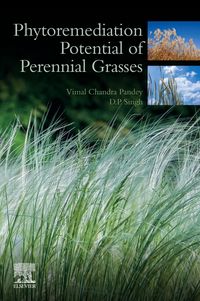 Produktbild: Phytoremediation Potential of Perennial Grasses