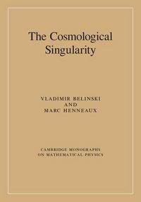 Produktbild: The Cosmological Singularity