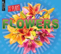 Produktbild: Flowers
