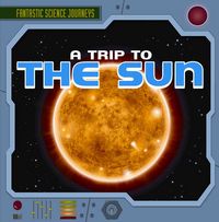 Produktbild: Trip To The Sun