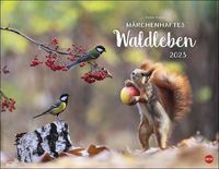 Bild vom Artikel Trunov Märchenhaftes Waldleben Posterkalender. Naturkalender 2023 gestaltet vom russischen Naturfotografen Vadim Trunov. Fotokalender 2023 im Querfor vom Autor Vadim Trunov