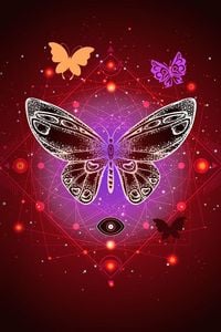 Produktbild: Pretty Butterfly
