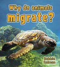 Produktbild: Why Do Animals Migrate?