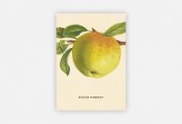 Bild vom Artikel An Apple a Day 2020 - Postkartenset vom Autor 