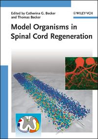 Produktbild: Model Organisms in Spinal Cord Regeneration