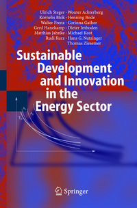 Produktbild: Sustainable Development and Innovation in the Energy Sector