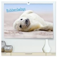 Produktbild: Robbenbabys (hochwertiger Premium Wandkalender 2026 DIN A2 quer), Kunstdruck in Hochglanz