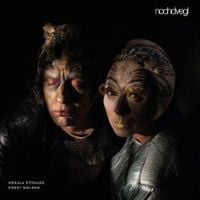 Produktbild: Nochdvegl