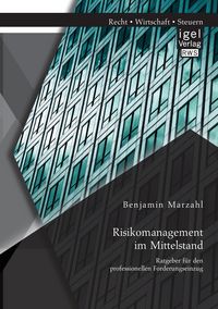 Produktbild: Risikomanagement im Mittelstand: Ratgeber f&uuml;r den professionellen Forderungseinzug